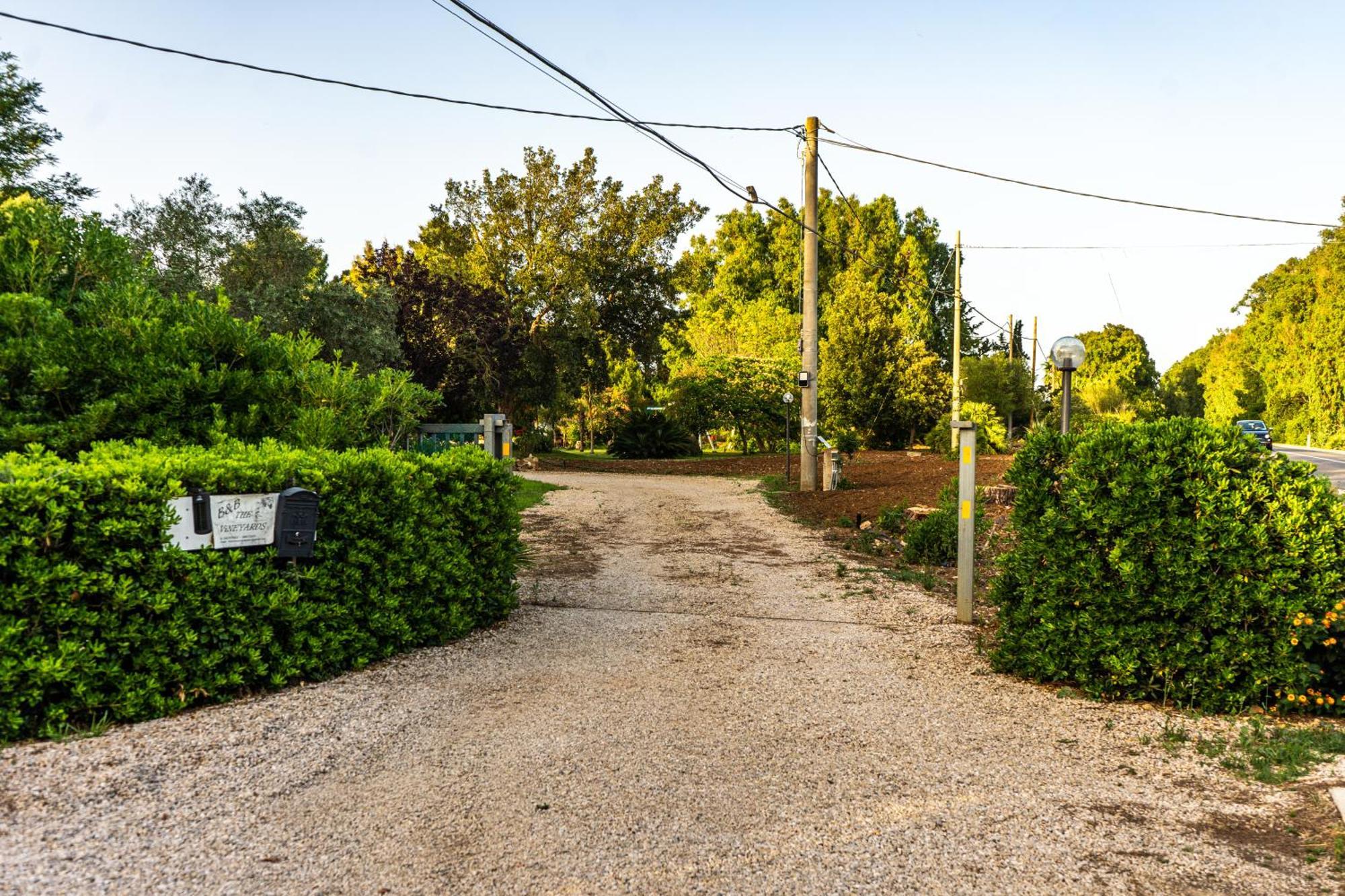 The Vineyards Panzió Alghero Kültér fotó